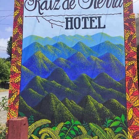 Hotel Raiz De Sierra Matlapa المظهر الخارجي الصورة