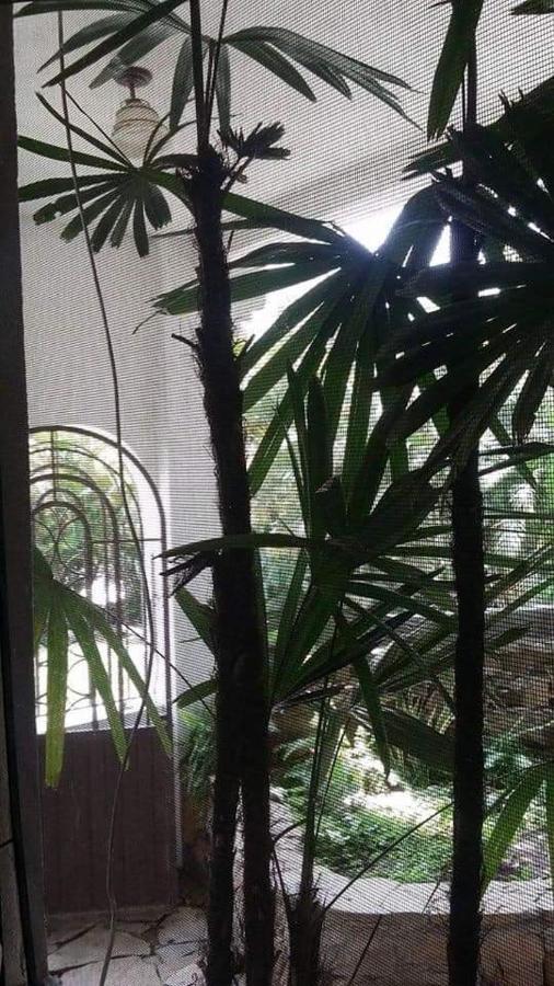 Hotel Raiz De Sierra Matlapa المظهر الخارجي الصورة