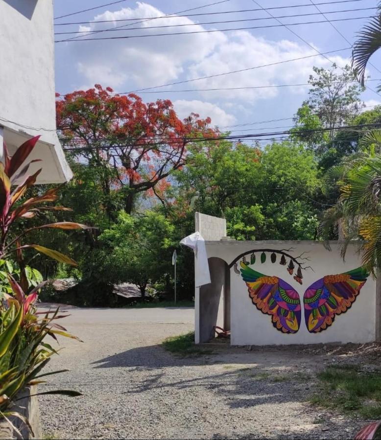Hotel Raiz De Sierra Matlapa المظهر الخارجي الصورة