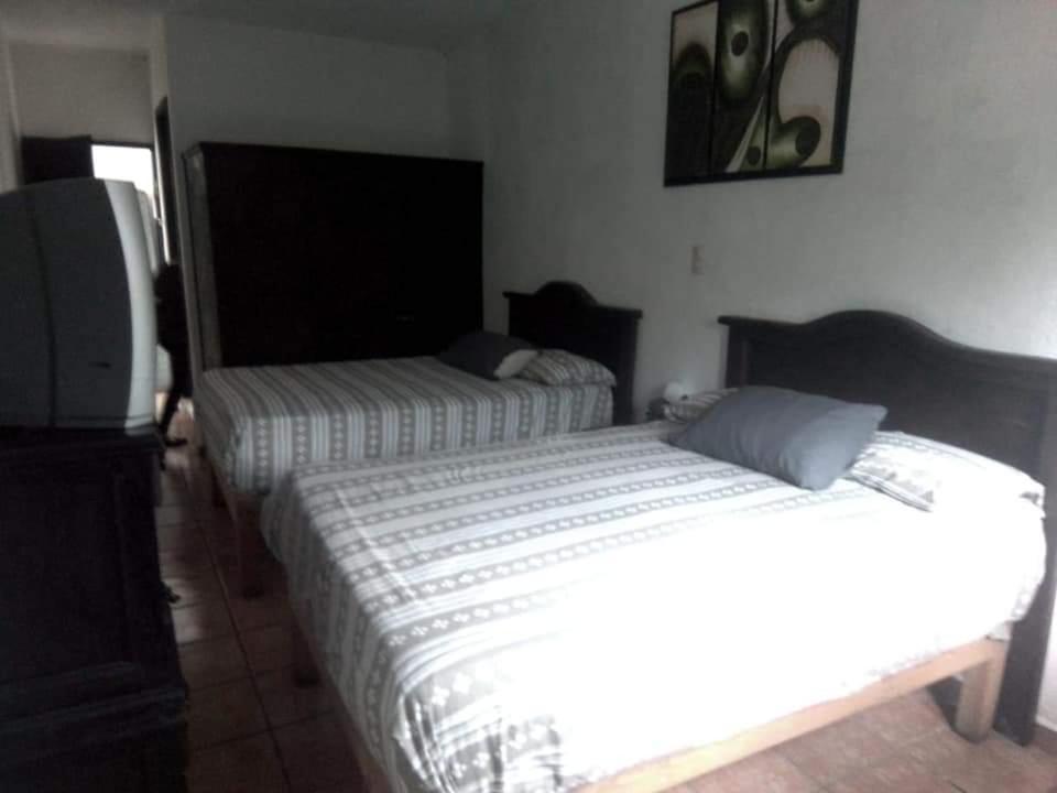 Hotel Raiz De Sierra Matlapa المظهر الخارجي الصورة